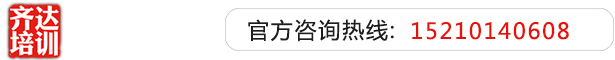 鸡鸡插骚逼视频齐达艺考文化课-艺术生文化课,艺术类文化课,艺考生文化课logo